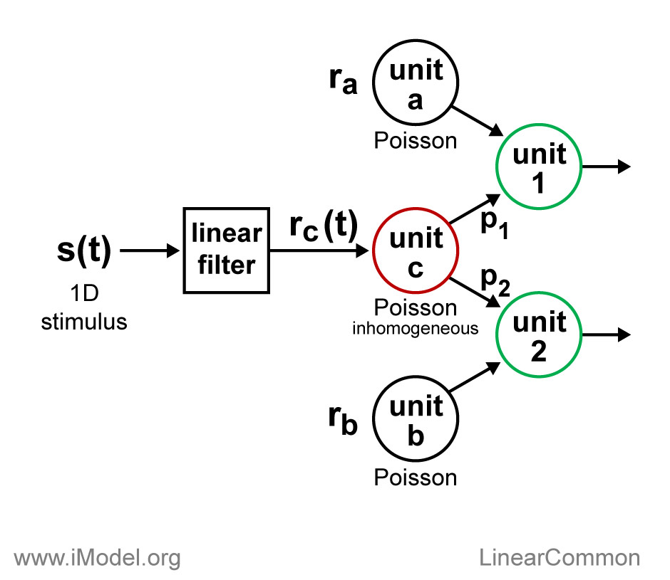 LinearCommon