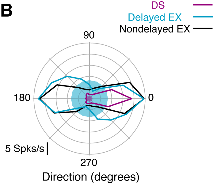 Figure 3B