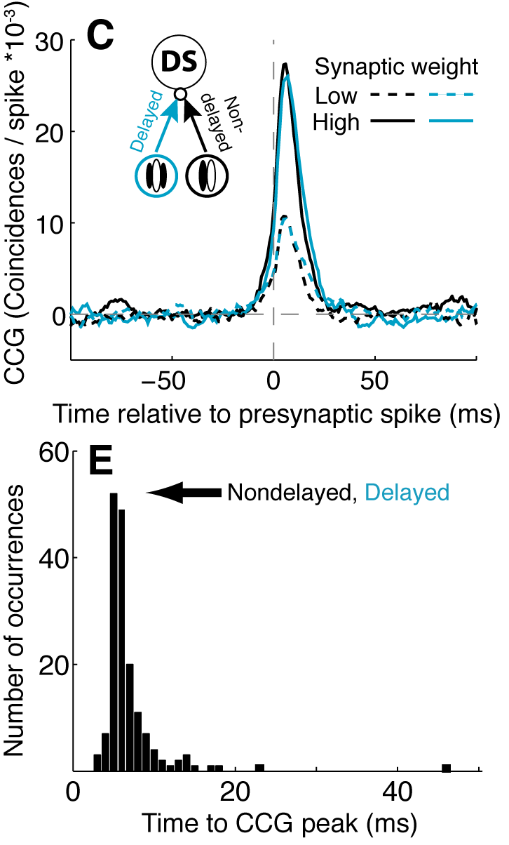 Figure 3C, E