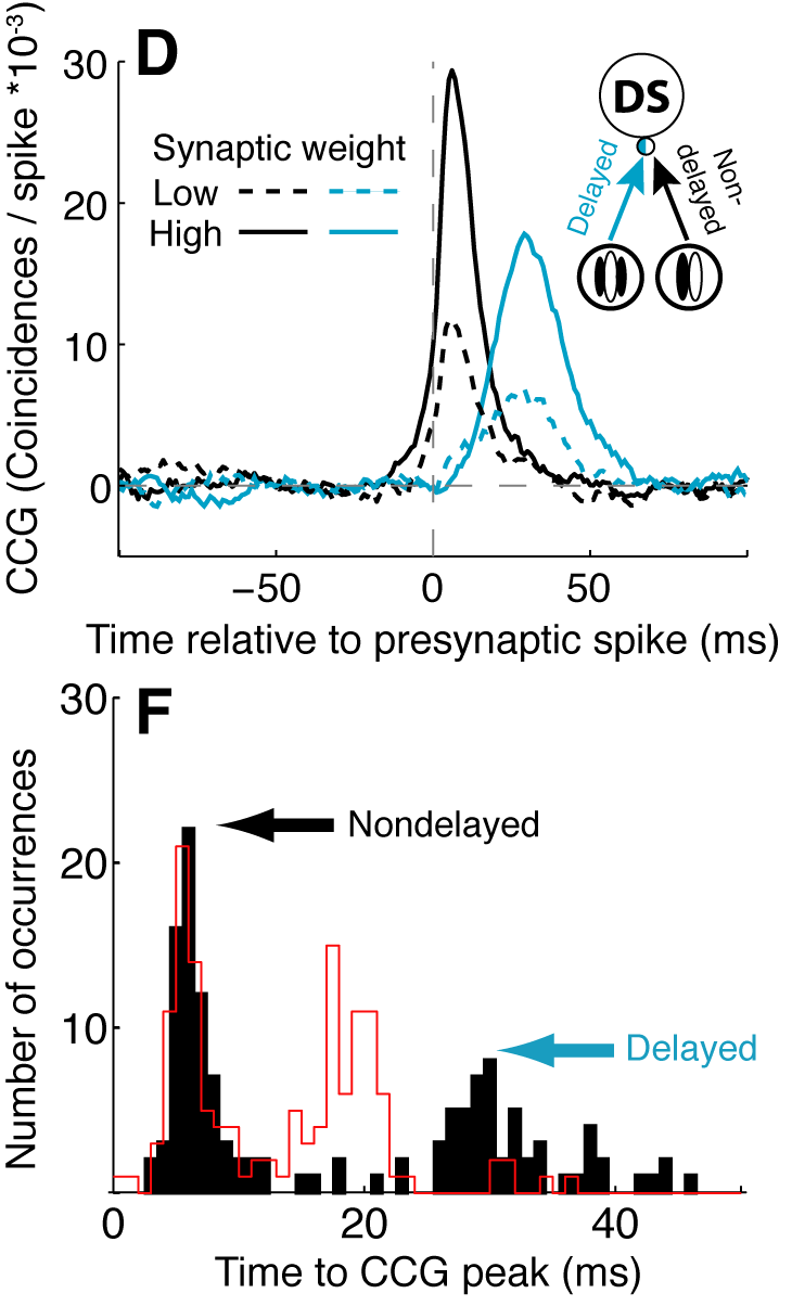 Figure 3D, F