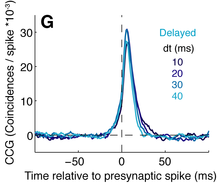 Figure 3G