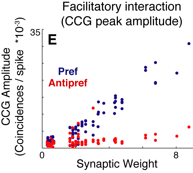 Figure 4E