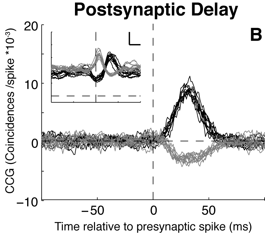 Figure 6B