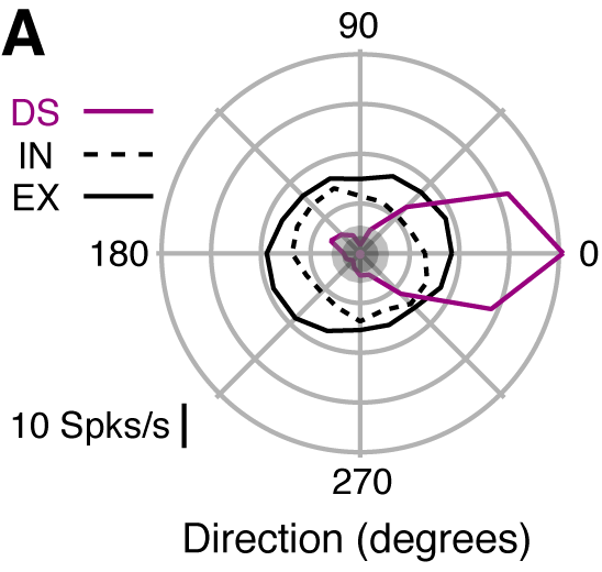 Figure 7A
