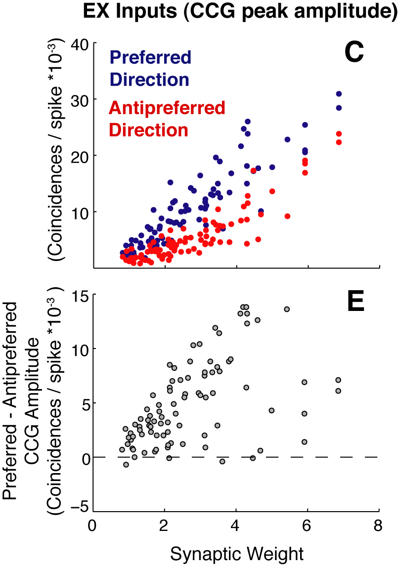 Figure 7C,E